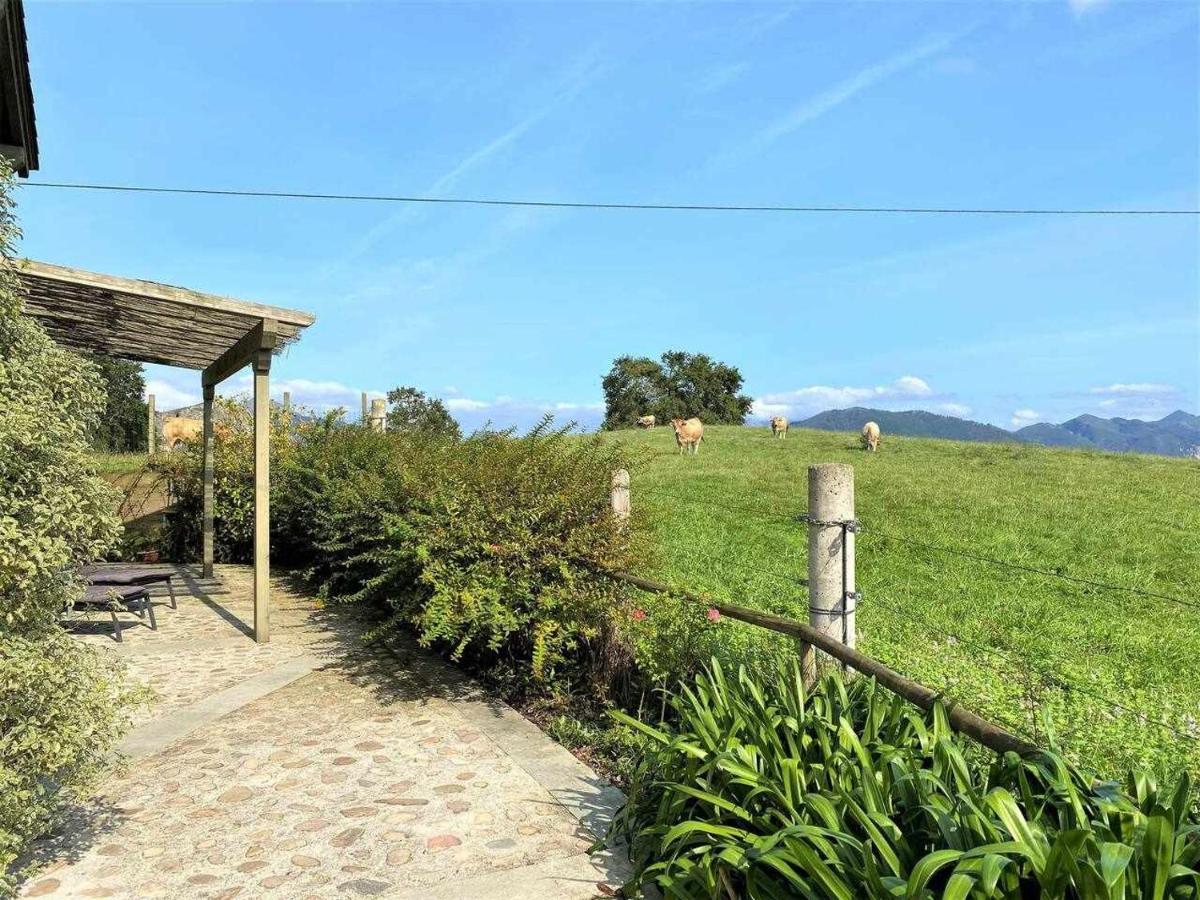 阿里翁达斯Casa Palo Balcon A Picos De Europa别墅 外观 照片